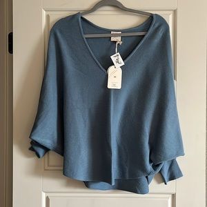 Blue Sweater
